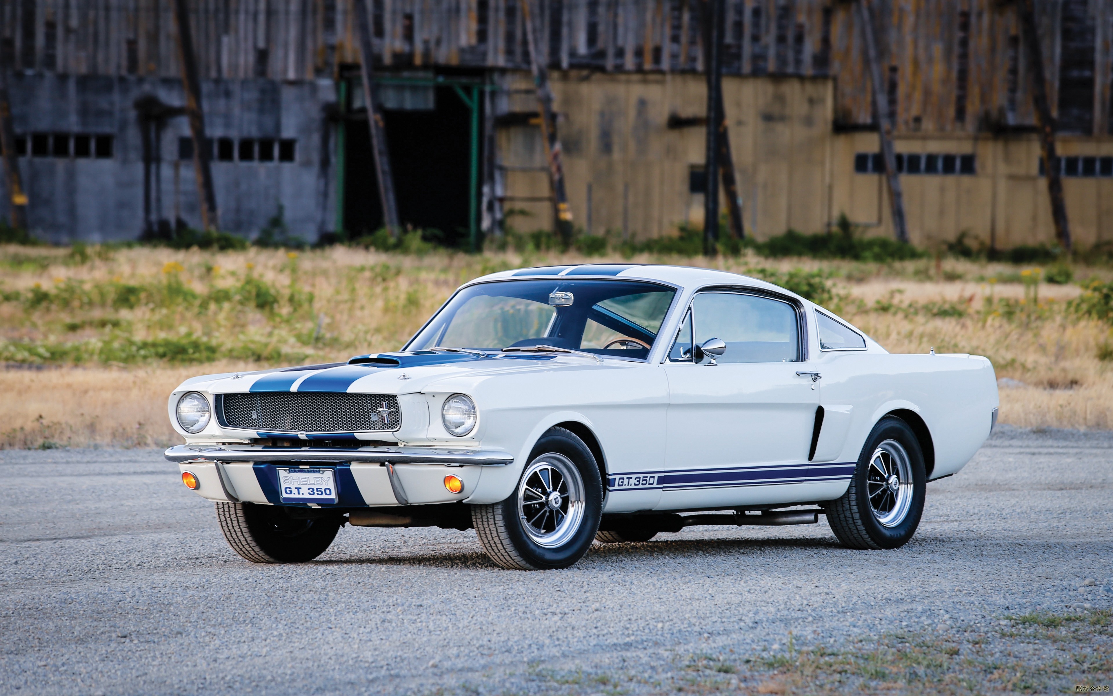 shelby_ford_mustang_gt350_side_view_105273_3840x2400.jpg