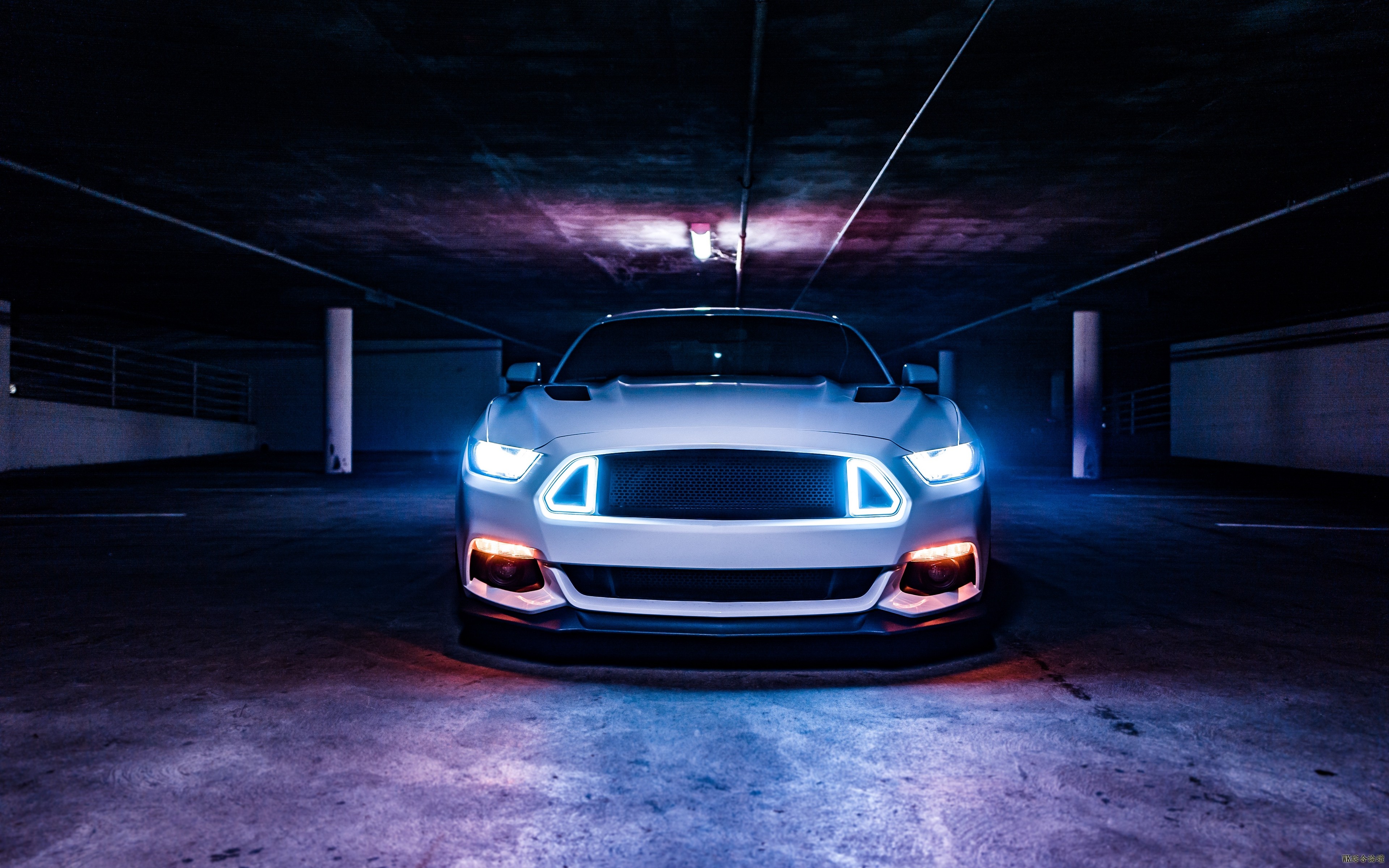 shelby_mustang_ford_mustang_ford_125085_3840x2400.jpg