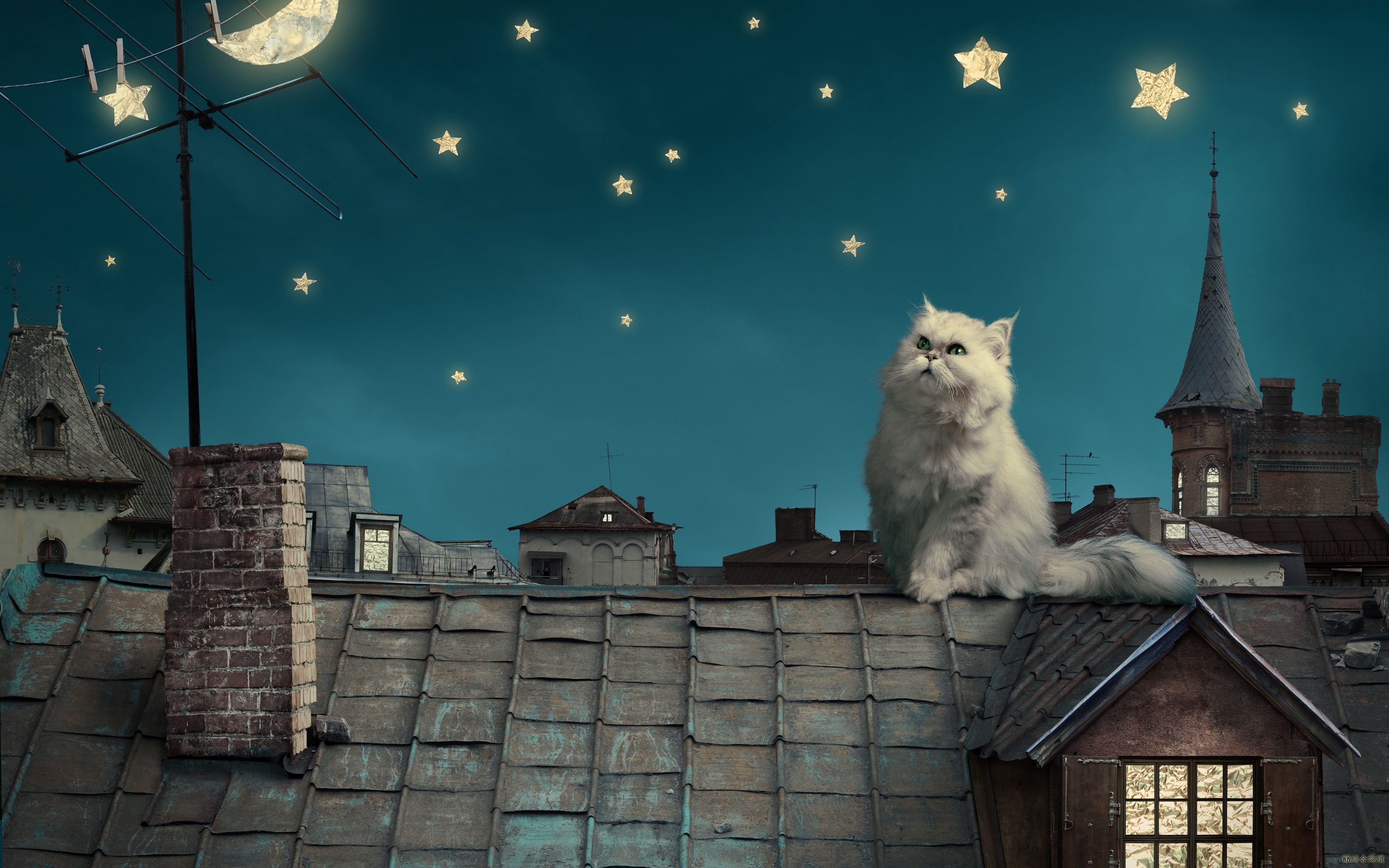 white_persian_cat_kitten_fairy_tale_fantasy_roofs_houses_sky_night_stars_moon_77.jpg